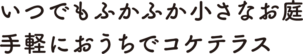 いつでもふかふか小さなお庭手軽におうちでコケテラス