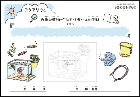 アクアテリア自由研究シート