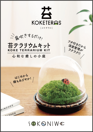 苔テラリウムキット