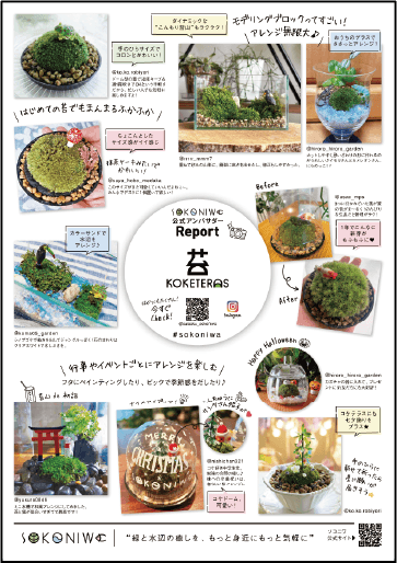 苔テラリウムアンバサダーアレンジ集A4