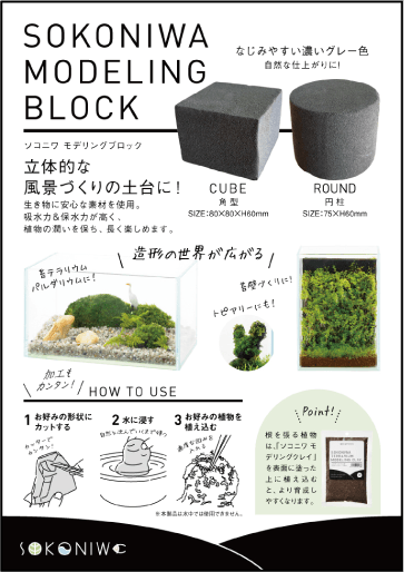 モデリングブロックB6POP