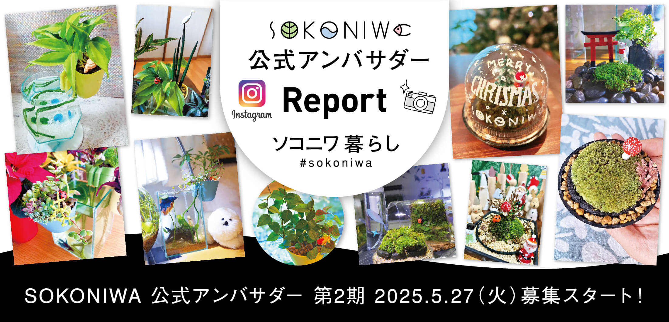 SOKONIWA 公式アンバサダー