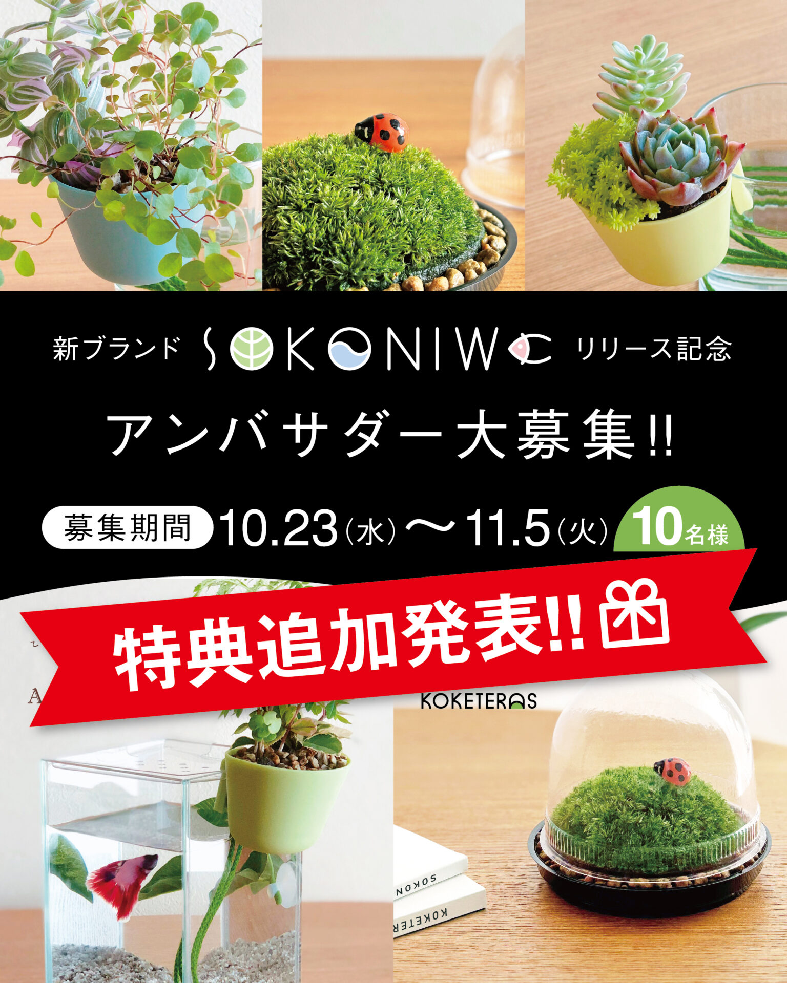 再募集 水槽5本 まとめて 【公式ショッピングサイト】