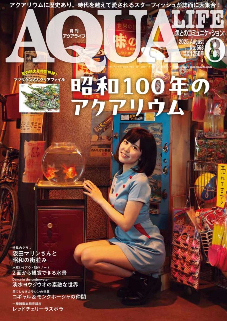 月刊アクアライフ 2025年8月号